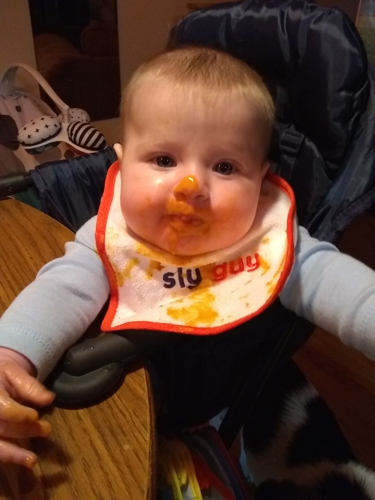 Starting Your Baby on Solids