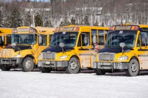 Busses lined up