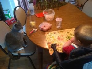 A cat and a baby sit at the table together