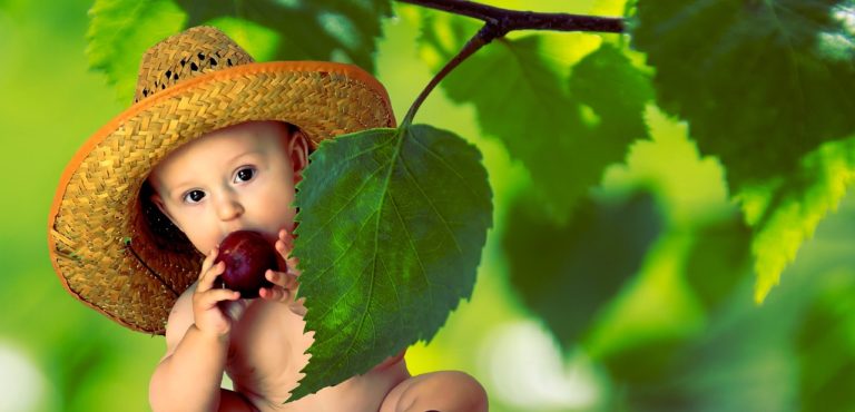 A baby hiding behind a leaf eating an apple with a straw hat on