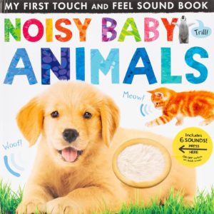 Best Books for Young Children that Make Fun Sounds