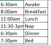 one year old sleep schedule sample