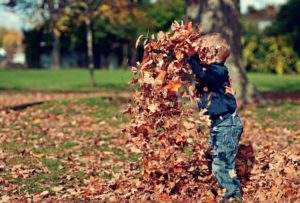 A child throws leaves in the air