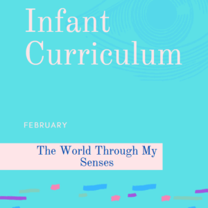 February Infant Curriculum